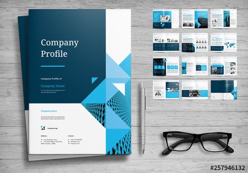 PDF/PPT Company Profile Design